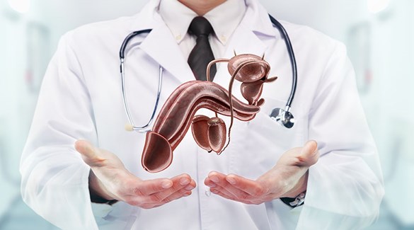 Når skal penis til doktor?