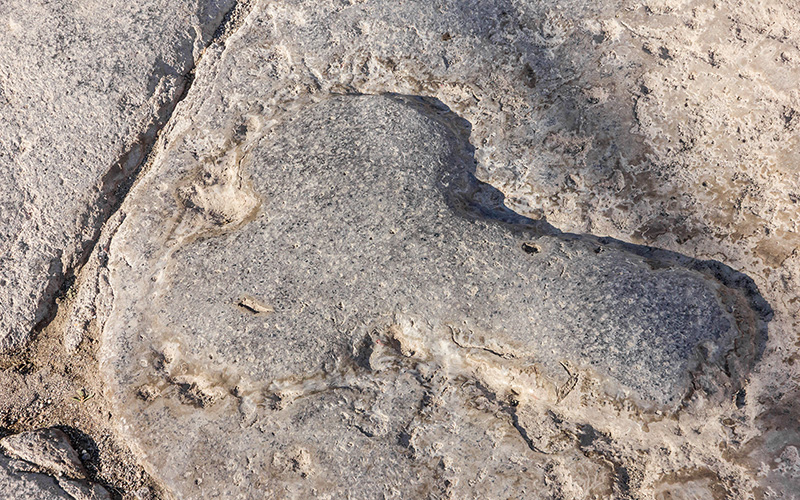 Pompeiis prostituerte menn