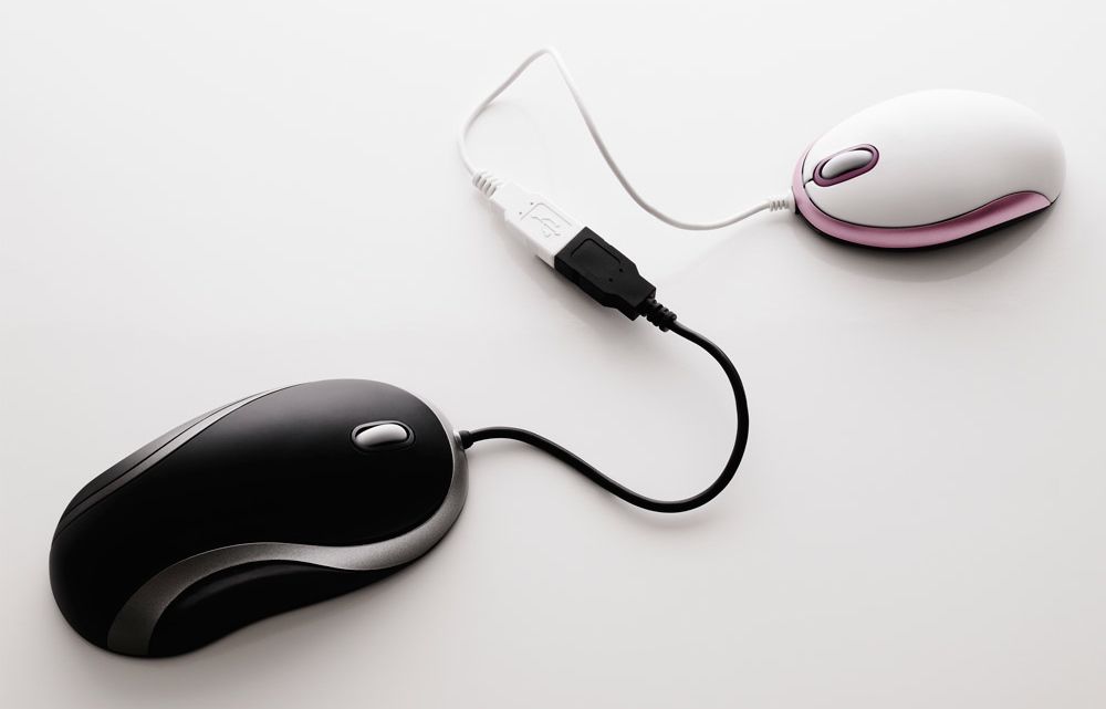 Nettdating: Hot or not for single på nett