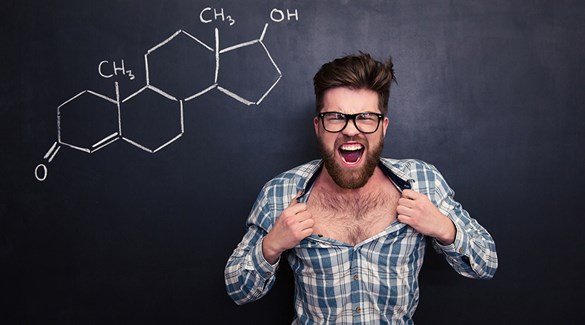 ​Testosteron viktig for hjertet?