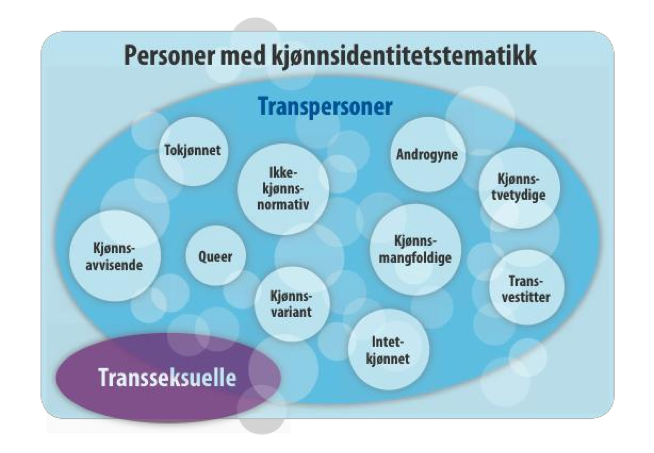 Det var da jeg møtte puberteten at alt begynte å gå til helvete